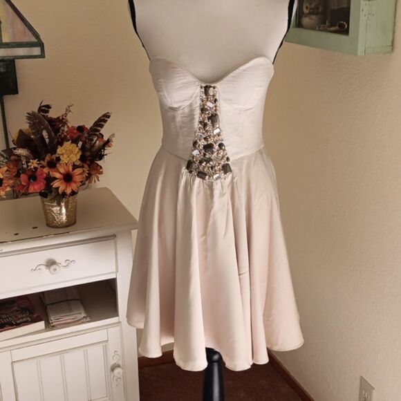 Ladakh Strapless Dress - Picture 2 of 12